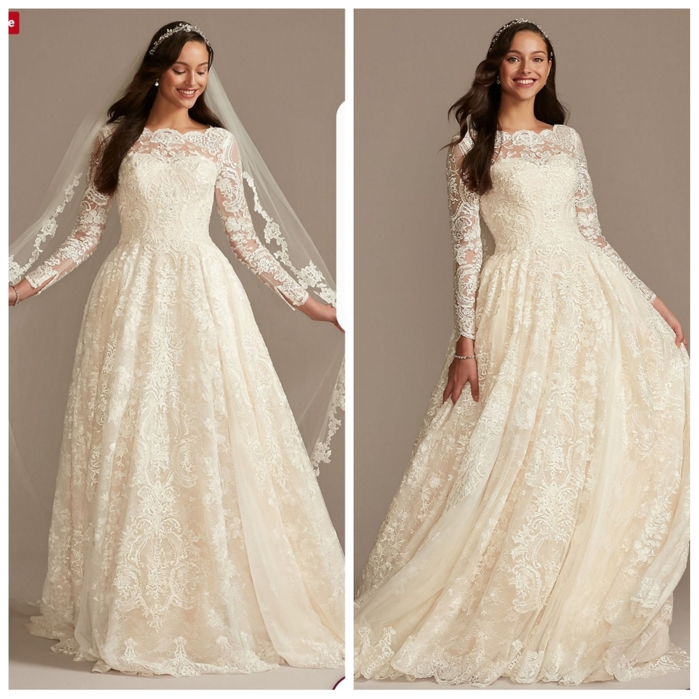 Sleevless wedding ball gown with cathedral veil